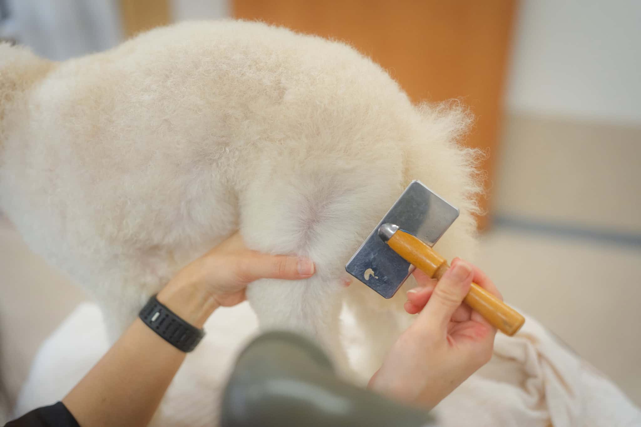 いつものお手入れが健康を見守るきっかけに